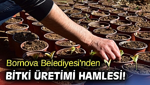Bornova Belediyesi'nden bitki üretimi hamlesi!