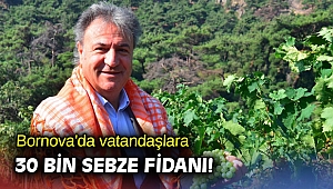 Bornova'da vatandaşlara 30 bin sebze fidanı!