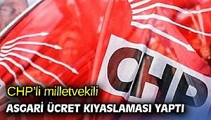 CHP'li milletvekili asgari ücret kıyaslaması yaptı