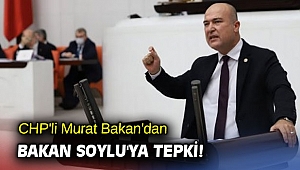 CHP'li Murat Bakan'dan Bakan Soylu'ya tepki! 