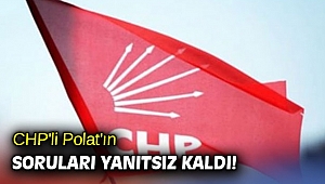 CHP'li Polat'ın soruları yanıtsız kaldı!