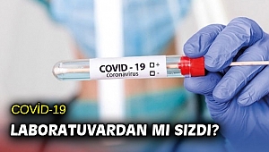 COVİD-19 laboratuvardan mı sızdı?
