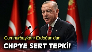 Cumhurbaşkanı Erdoğan'dan CHP'ye sert tepki! 