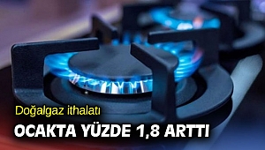 Doğalgaz ithalatı ocakta yüzde 1,8 arttı