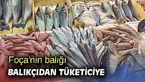 Foça'nın balığı balıkçıdan tüketiciye