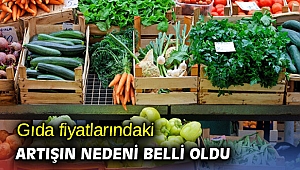 Gıda fiyatlarındaki artışın nedeni belli oldu