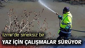 İzmir'de sineksiz bir yaz için çalışmalar sürüyor