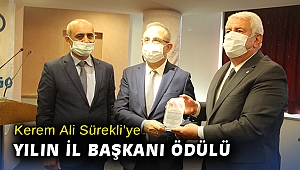 Kerem Ali Sürekli'ye yılın il başkanı ödülü