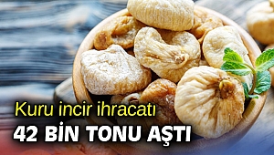 Kuru incir ihracatında 158 milyon dolar döviz!