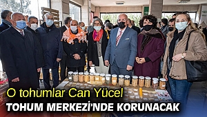 O tohumlar Can Yücel Tohum Merkezi'nde korunacak