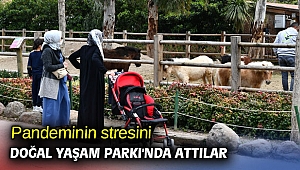 Pandeminin stresini Doğal Yaşam Parkı'nda attılar