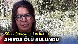 Süt sağmaya giden kadın ahırda ölü bulundu