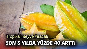 Türkiye’nin tropikal meyve ihracatı 7 milyon dolara koşuyor