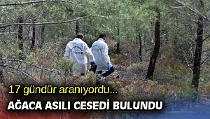 17 gündür aranıyordu... Ağaca asılı cesedi bulundu