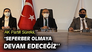 AK Partili Sürekli, 