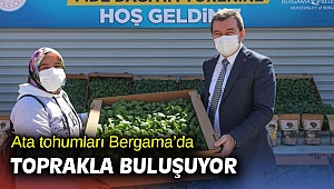 Ata tohumları Bergama’da toprakla buluşuyor