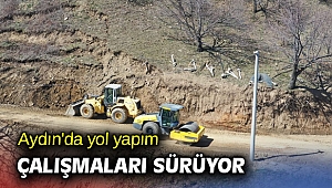 Aydın'da yol yapım çalışmaları sürüyor