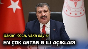 Bakan Koca, vaka sayısı en çok artan 5 ili açıkladı