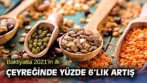 Bakliyatta 2021’in ilk çeyreğinde yüzde 6’lık artış 