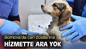 Bornova’da can dostlarına hizmette ara yok