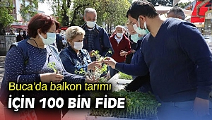 Buca’da balkon tarımı için 100 bin fide 