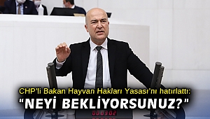 CHP’li Bakan Hayvan Hakları Yasası’nı hatırlattı: “Neyi bekliyorsunuz? Getirin oybirliğiyle geçirelim!”