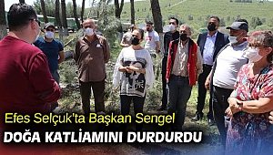 Efes Selçuk’ta Başkan Sengel doğa katliamını durdurdu
