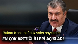 Haftalık vaka sayısının en çok arttığı iller açıklandı