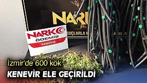 İzmir'de 600 kök kenevir ele geçirildi
