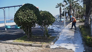 Kuşadası'nda pandemiye karşı doğa dostu temizlik!