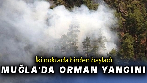 Muğla'da iki farklı noktada orman yangını çıktı