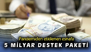 Pandemiden etkilenen işletmelere 5 milyar TL'lik destek programı