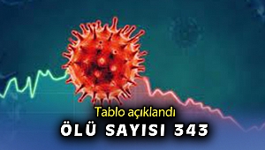 Son 24 saatte korona virüsten 343 kişi hayatını kaybetti