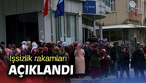 TÜİK işsizlik rakamlarını açıkladı