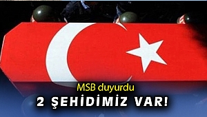 Zeytin Dalı Harekat bölgesinde 2 asker şehit oldu