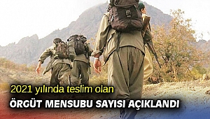 2021 yılında teslim olan örgüt mensubu sayısı açıklandı