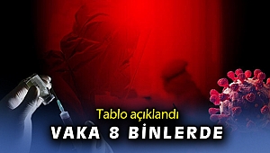 22 Mayıs vaka tablosu açıklandı