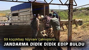 59 küçükbaş hayvanı çaldığı tespit edilen 3 kişi yakalandı