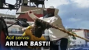 Acil servisi arılar bastı