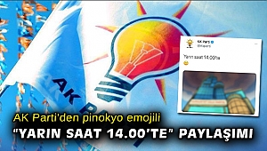 AK Parti'den pinokyo emojili