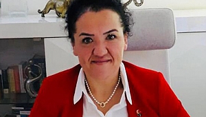 AK Partili Kartaş'tan CHP'li meclis üyesinin kaçak yapısının yıkılmamasına tepki