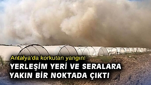 Antalya'da korkutan yangın! Yerleşim yeri ve seralara yakın bir noktada çıktı