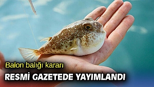 Balon balığı kararı Resmi Gazetede yayımlandı