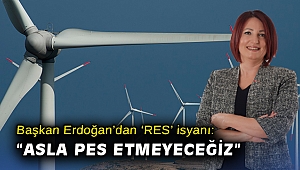 Başkan Erdoğan'dan 'RES' isyanı: