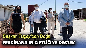 Başkan Tugay’dan Boğa Ferdinand’ın çiftliğine destek 