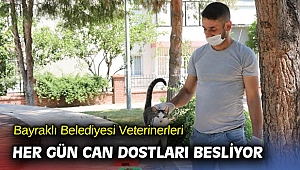 Bayraklı Belediyesi Veterinerleri her gün can dostları besliyor