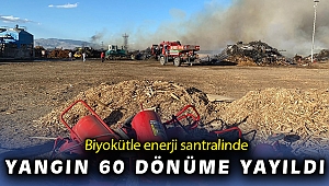 Biyokütle enerji santrali yangınında alevler 60 dönümlük alanı etkiledi