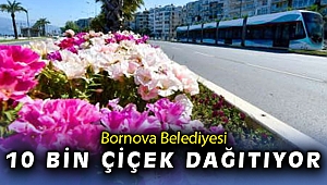 Bornova çiçekleniyor