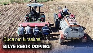 Buca'nın kırsalına bilye kekik dopingi 
