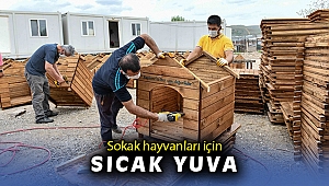 Büyükşehir’den sokak hayvanları için sıcak yuva